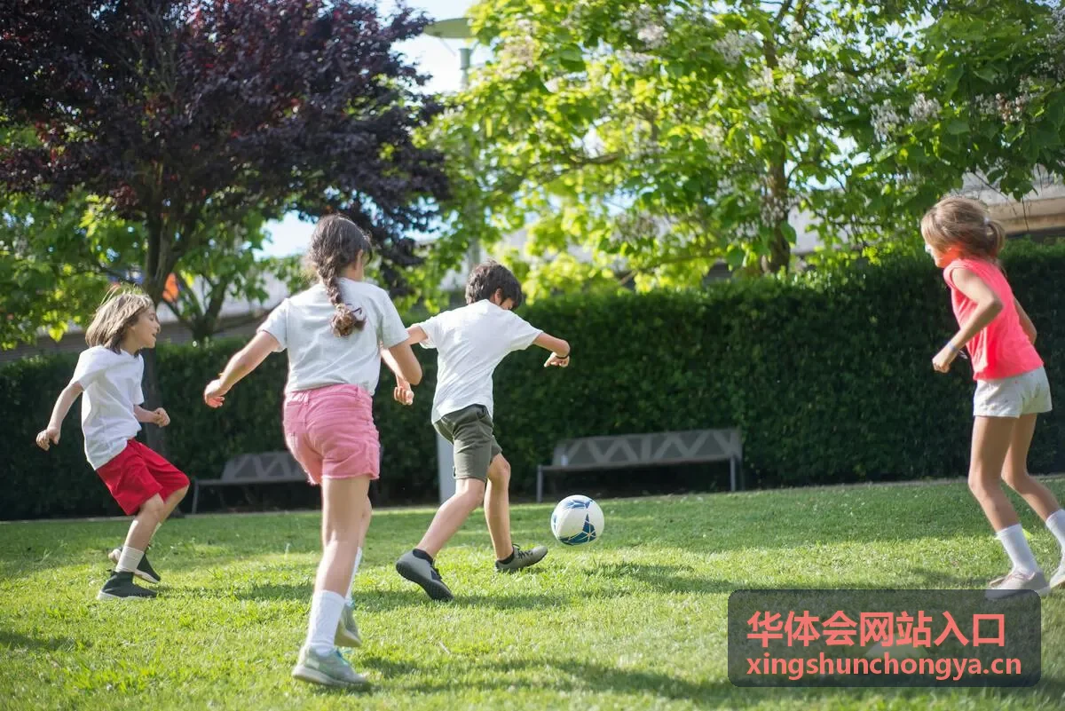 华体会网站入口内容聚合展示