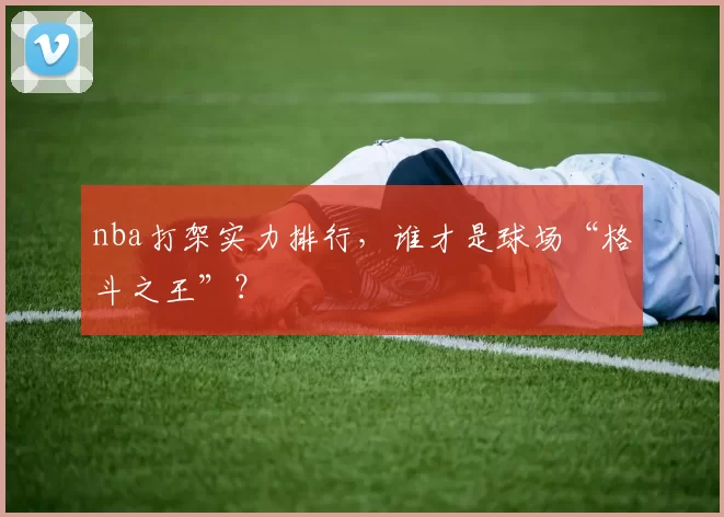 nba打架实力排行，谁才是球场“格斗之王”？
