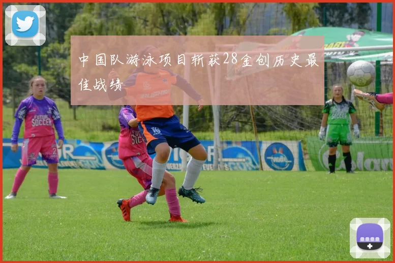 中国队游泳项目斩获28金创历史最佳战绩