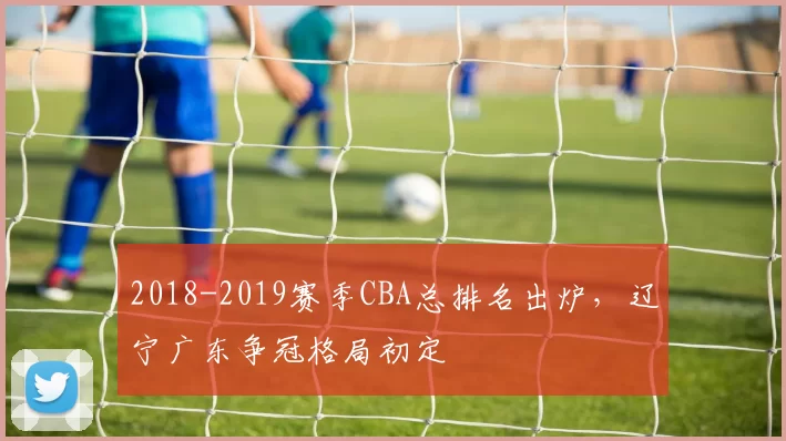 2018-2019赛季CBA总排名出炉，辽宁广东争冠格局初定