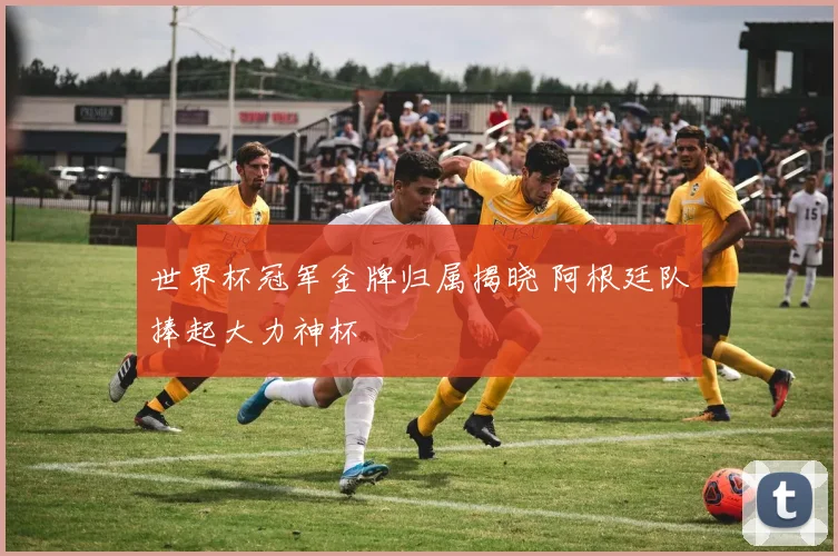 世界杯冠军金牌归属揭晓 阿根廷队捧起大力神杯