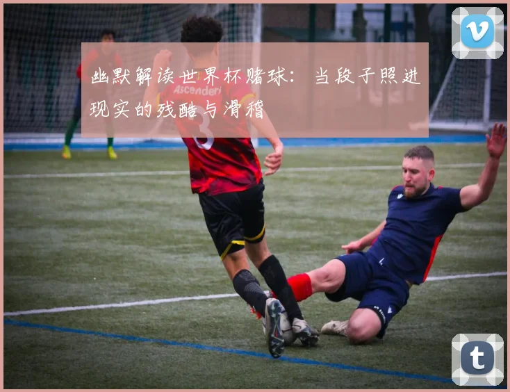 幽默解读世界杯赌球:当段子照进现实的残酷与滑稽