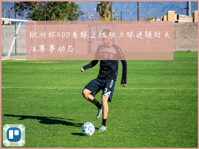 欧洲杯app看球上线助力球迷随时关注赛事动态
