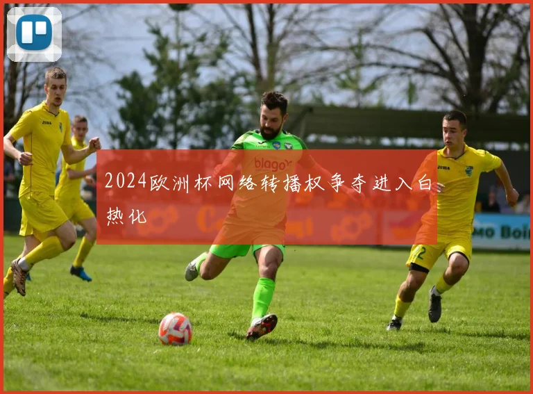2024欧洲杯网络转播权争夺进入白热化