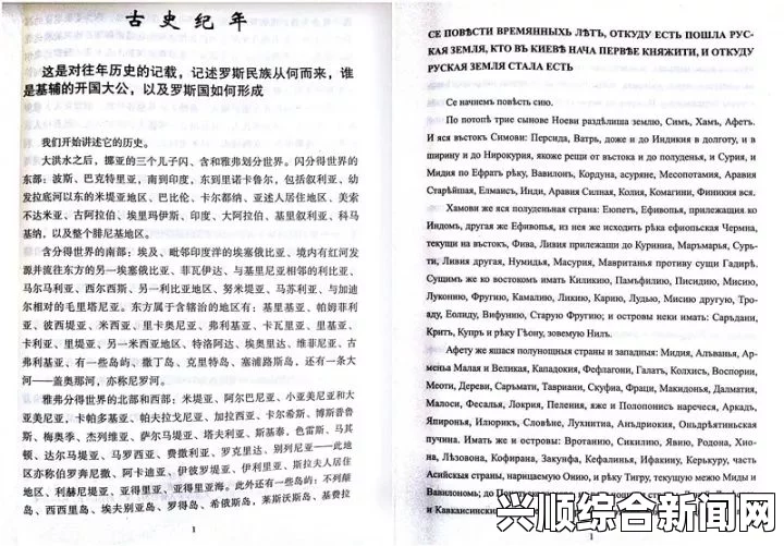 探寻“german”的复数魅力：语言的多样性与文化交融之旅，感受文字背后的无限可能。