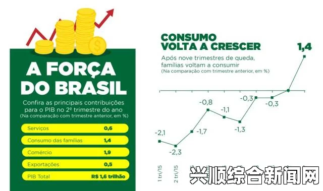 调查报告，巴西今年经济将增长0.39%，通胀率3.46%