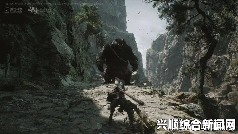 黑神话悟空身本忧，探索游戏中的独特技能与设定