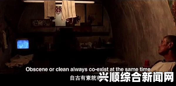 趁夫不在，欲望的边缘：一次公侵犯之旅的深刻反思与激情探索