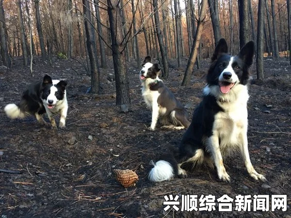 男Ji大巴进人女人的视频激荡心灵的血腥外网yne：在狂潮与恐惧中，寻找自我救赎的路途
