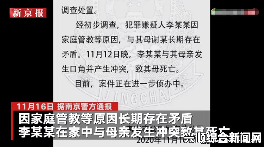 撒贝宁妻子李白二婚传闻及宋智慧之谜