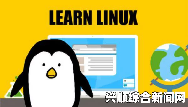探索Linux全套实战视频：深入评价，激发你的编程激情与技术潜力！