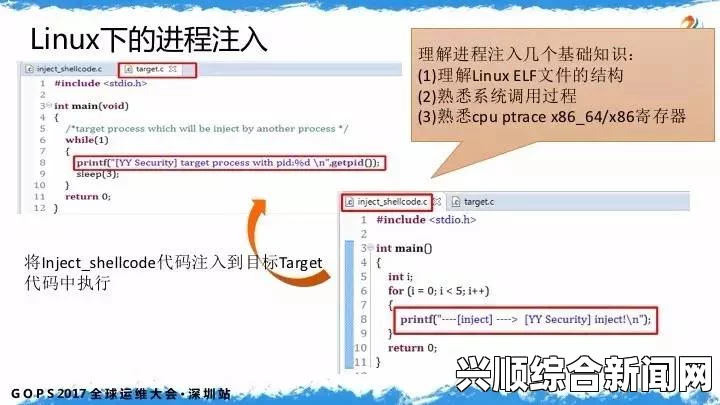 探索Linux全套实战视频：深入评价，激发你的编程激情与技术潜力！