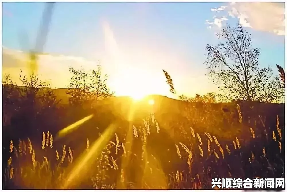 宝贝它想你想的爆炸了：甜蜜思念如潮水般涌来，心跳加速中每一瞬间都充满无限激情与期待。
