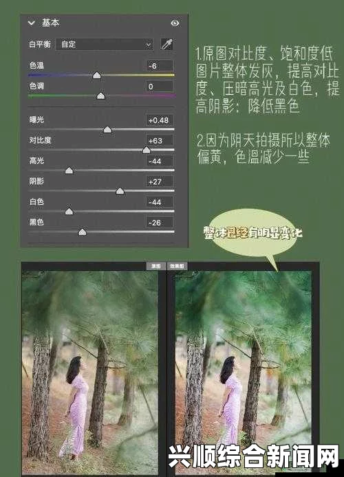 PS一级二级调色大片区别在哪儿？探索调色技巧，激发无限创意与视觉享受！