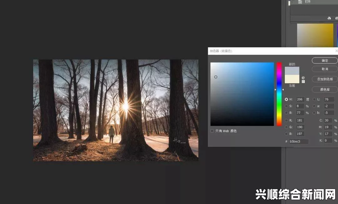 PS一级二级调色大片区别在哪儿？探索调色技巧，激发无限创意与视觉享受！