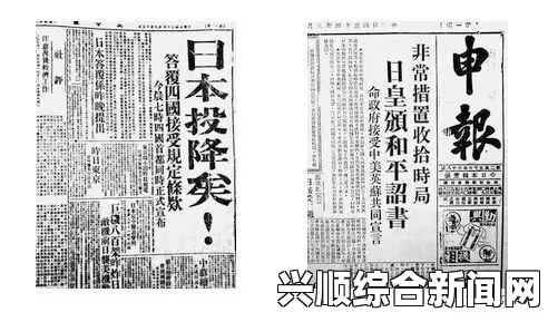 日本政府颁布天皇退位法，历史与未来的交汇点