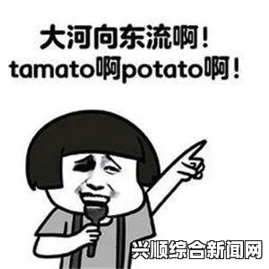 嗯嗯哼哼哼哼哼哏哏这是什么歌？网友热议其背景与隐喻，探讨音乐中的情感表达