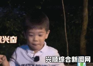 嗯嗯哼哼哼哼哼哏哏这是什么歌？网友热议其背景与隐喻，探讨音乐中的情感表达