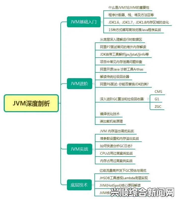 探索国精产品W灬源码1的深度与广度，解锁全新技术潜力与应用场景