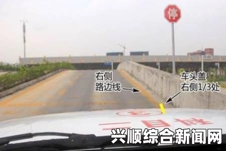 全面解析做aj的姿势教程高清图集，让你轻松掌握各种动作技巧和细节展示