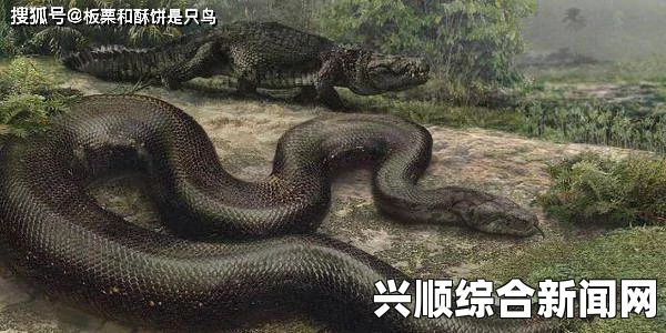 1V2对抗：双黑蛇融合力量迸发，温度持续飙升