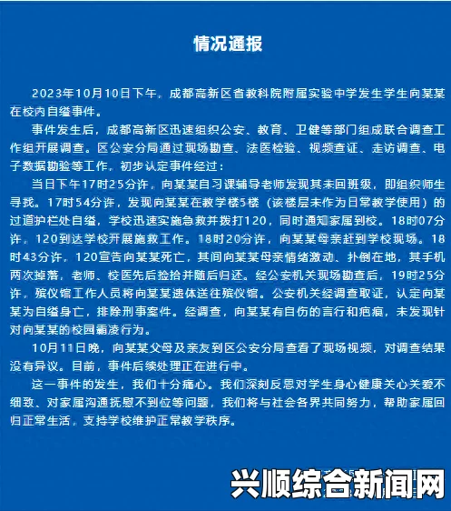 索马里首都发生自杀式炸弹袭击，悲剧的背后与应对