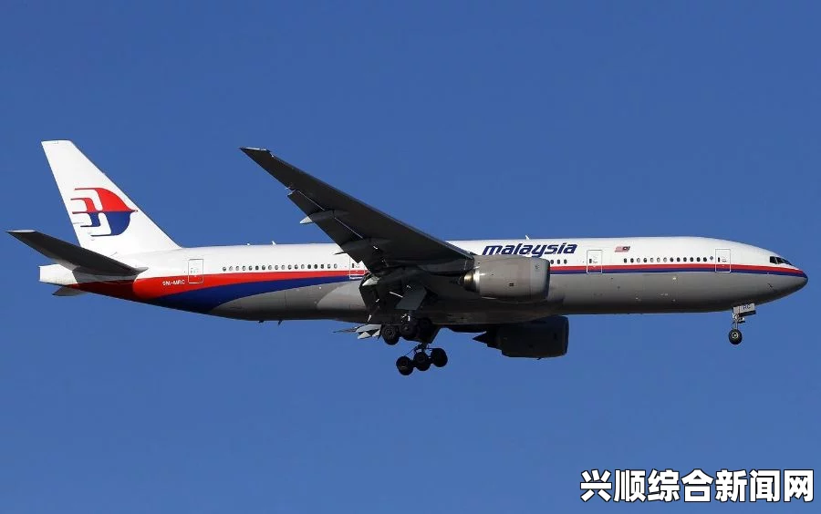 MH370失联乘客家属起诉马航获立案 索赔470万元