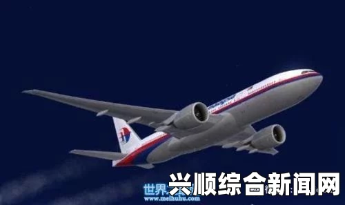 MH370失联乘客家属起诉马航获立案 索赔470万元