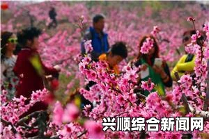 把腿张开老子臊烂你红桃梦想：在心灵的舞台上绽放激情，拥抱无限可能