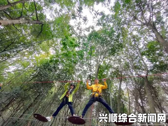 欢欣森活，探索自然与快乐的完美结合地