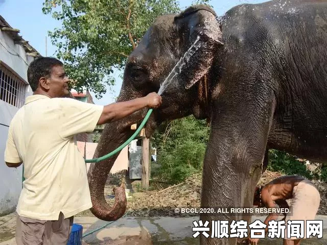 印度再传性侵案，14岁少女被歹徒挟持两周遭轮奸