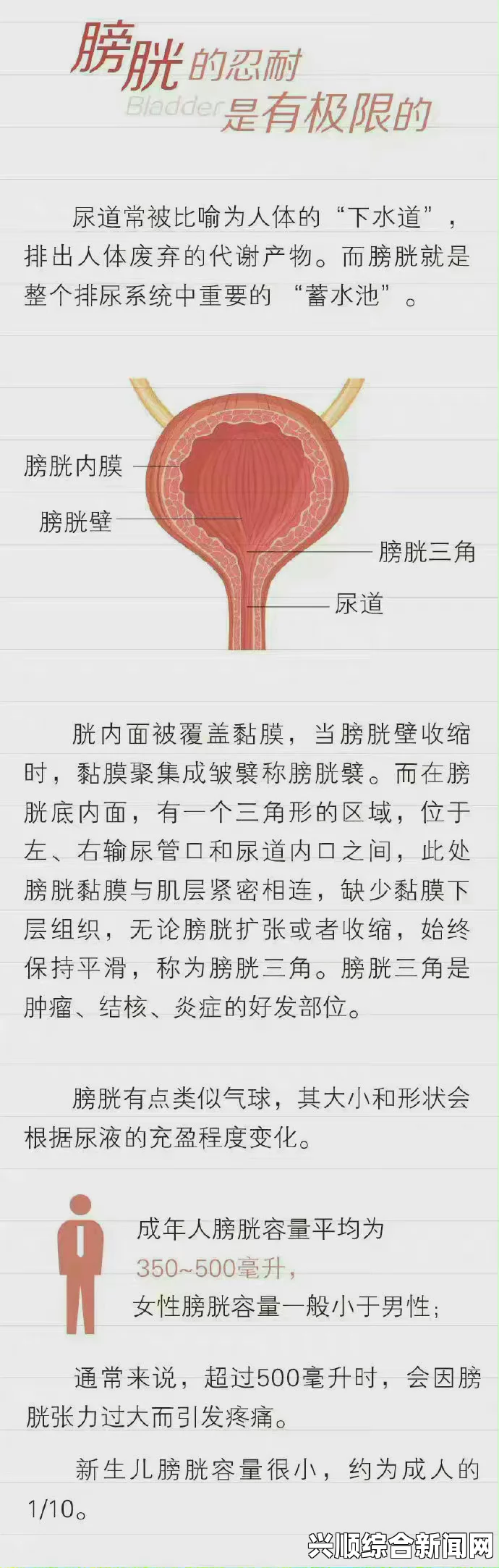 女孩迈开腿让男孩看膀胱深入探讨：一级产区与二级产区之间的精彩对比及其带来的无穷可能性！
