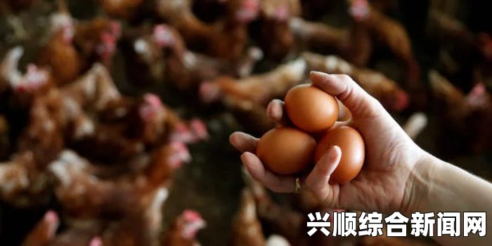 关于真三国无双7帝国人物存档及自建人物整合包下载指南