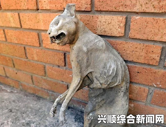 上古卷轴5，魔法组合系统揭秘—多魔法组合的未知魔法
