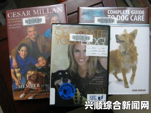 范海辛的惊奇之旅3，刺客属性加点方法与策略