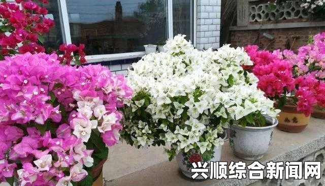 彩度战队最高难度的通关心得分享—职业部分心得分享