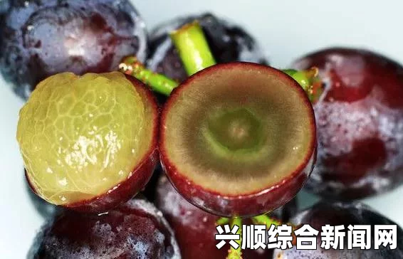 冯提莫领衔，当红女主播献唱WE出征曲最初的梦想