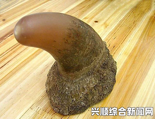 如龙0钓鱼攻略