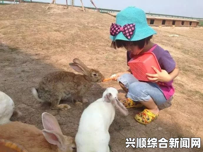 老师，您的兔子好软，水好多，我们在嬉戏中感受自然的魅力与探索的无限乐趣！