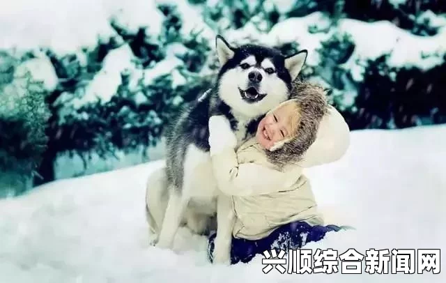 ZoomZookeeper狗：探索自然的激情与奇迹，带你领略每一刻的灵动与欢愉！