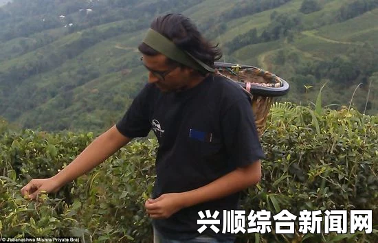 印度男子完成28之梦，一年内在28周内成功换岗二十八次