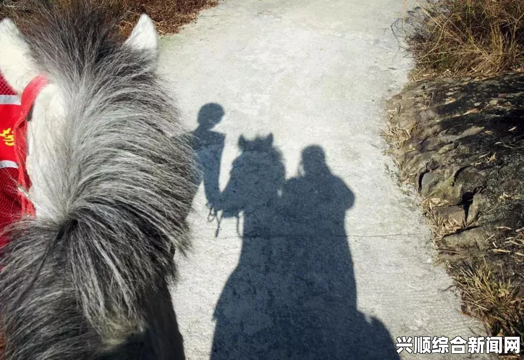 我的世界马怎么骑—骑马训马教程一览