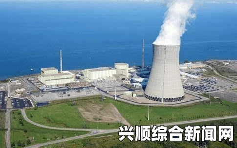 核电站密码解密之旅，仇恨与胜利的征途