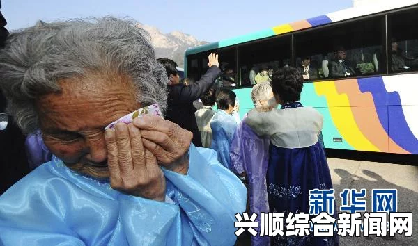 韩朝离散家属会面的历史背景与影响探究