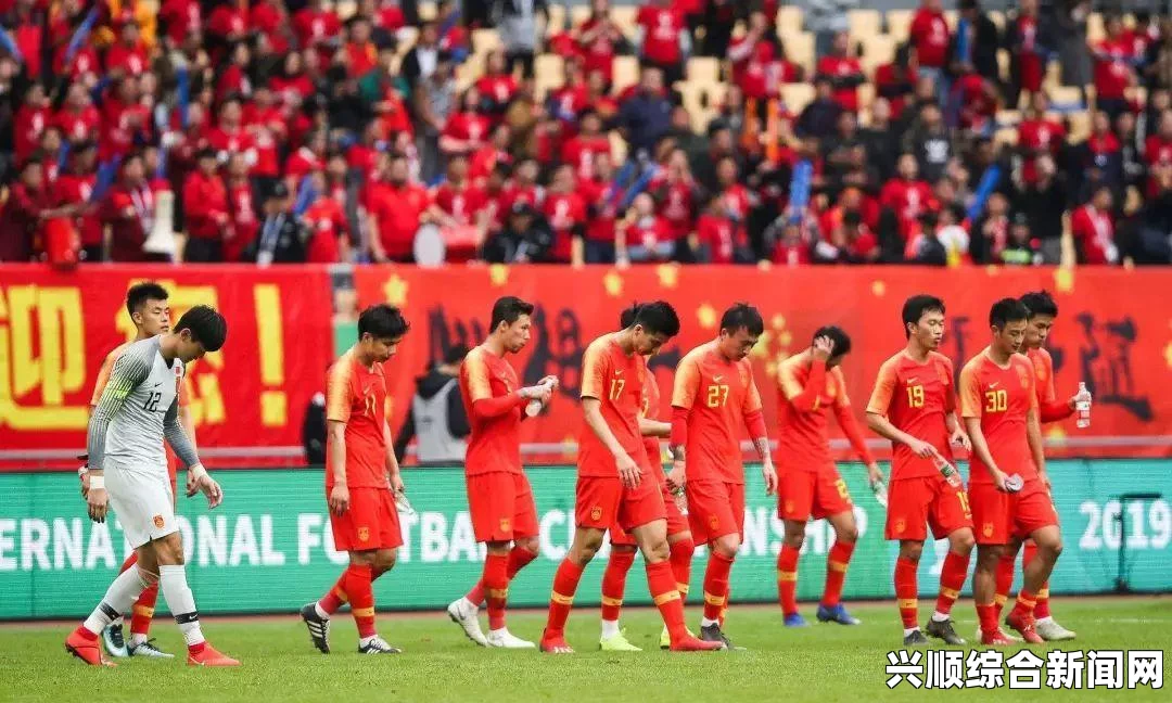 利比亚军机在突尼斯农田坠毁，造成机上11人全遇难