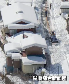 日本雪灾致多人死亡，事故原因多为积雪引发屋顶崩塌的悲剧