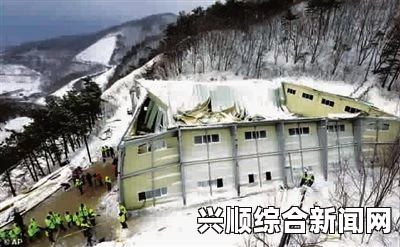 日本雪灾事故导致多人死亡，事故原因多为积雪导致的屋顶崩塌。以下是基于您提供的小标题关键词生成的内容