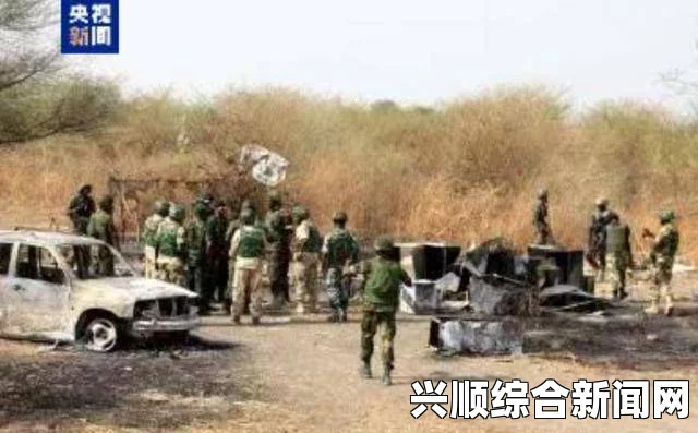 尼日利亚极端组织袭击中学，43人遇害