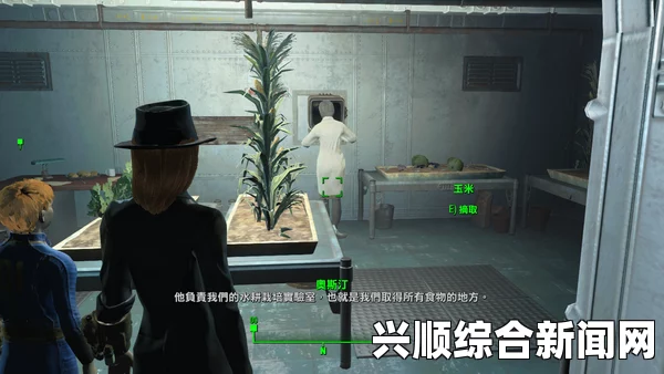 81号避难所，悲剧结局揭秘