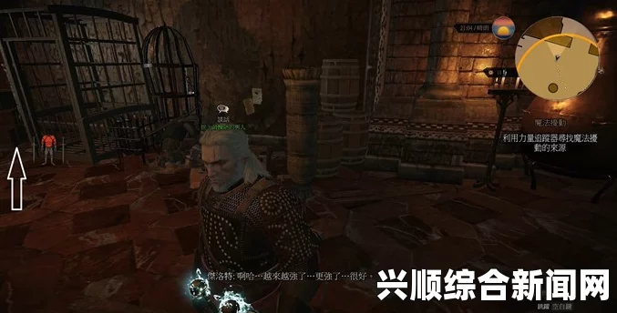 巫师3狂猎，魔法扰动任务攻略